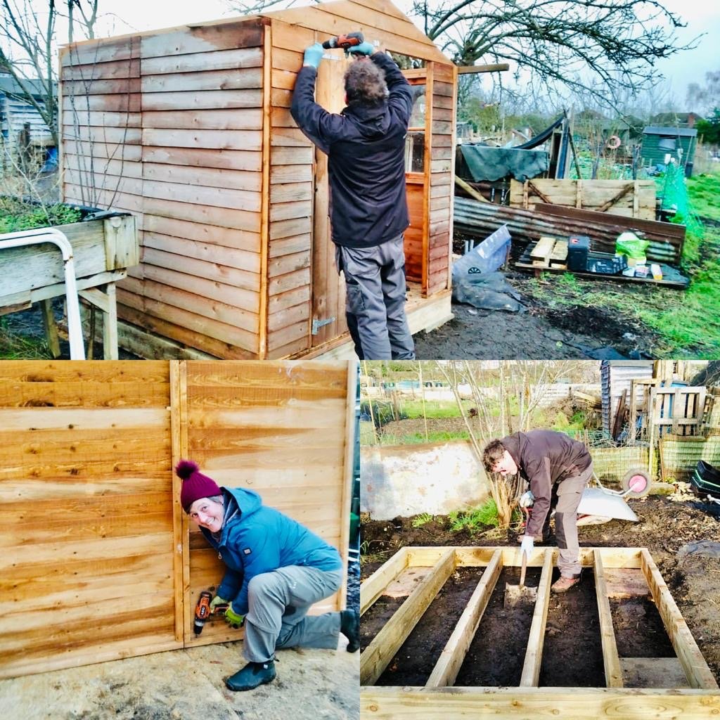 People Building a Shed